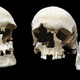 Skulls of two plague victims found in single grave at the Altenerding cemetery near Munich. (Images: State Collection of Anthropology and Paleoanatomy, Munich)